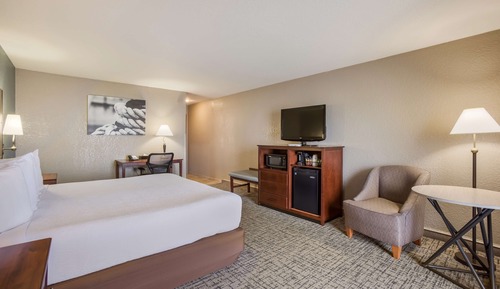 Standard Room, 1 King Bed, Refrigerator, Partial Lake View