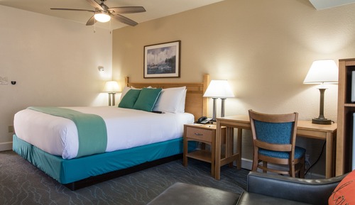 Standard Room, 1 King Bed