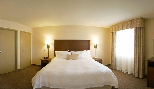 Room, 1 King Bed, Non Smoking (Drinks & Snacks)