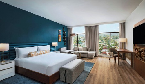 Room, 1 King Bed with Sofa bed