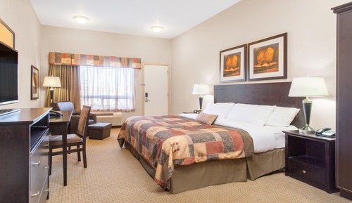 Room, 1 King Bed, Accessible, Non Smoking