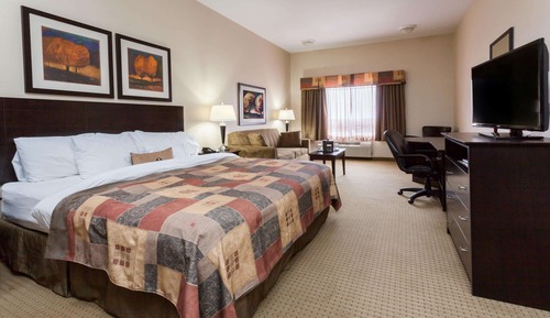 Suite, 1 King Bed with Sofa bed, Non Smoking