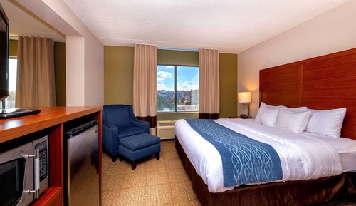 Standard Room, 1 King Bed, Non Smoking