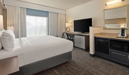 Standard Room, 1 King Bed, Mobility Accessible (Communications, Roll-In Shower)