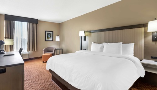 Business Room, 1 King Bed, Non Smoking, Refrigerator