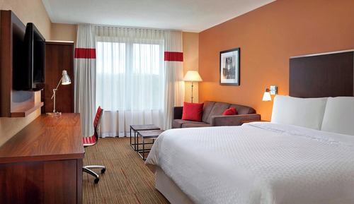 Room, 1 King Bed