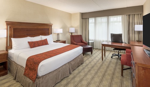 Room, 1 King Bed