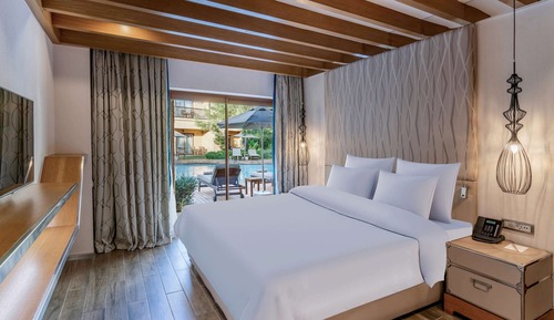 Suite, 1 King Bed (Legendary - Swim Up)
