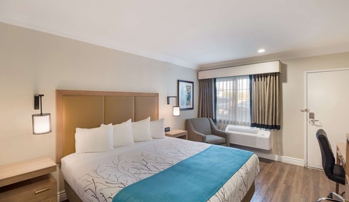 Standard Room, 1 King Bed, Accessible, Refrigerator & Microwave
