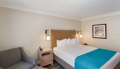 Standard Room, 1 King Bed, Non Smoking, Patio