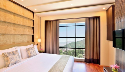 Suite, 1 Bedroom