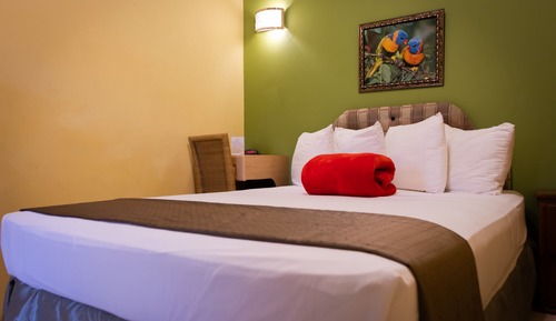 Standard Room, 1 Queen Bed, Private Bathroom, Pool View
