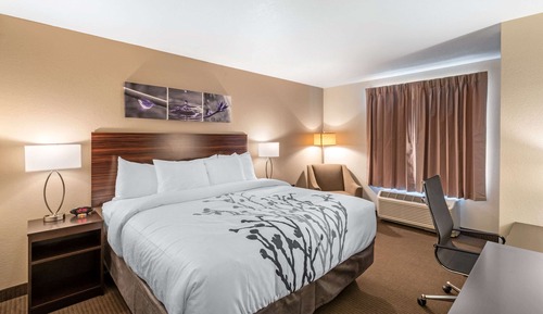 Room, 1 King Bed, Non Smoking, Refrigerator