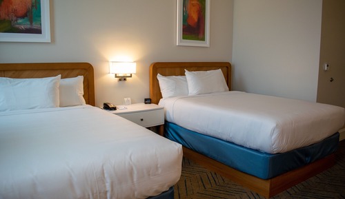 Standard Room, 1 King Bed, Multiple View (Standard King Shower Hearing Accessib)