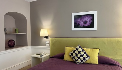 Superior Room, Patio, Poolside