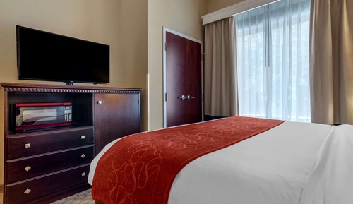 Suite, 1 King Bed with Sofa bed, Non Smoking