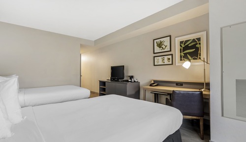 Room, 2 Queen Beds, Non Smoking