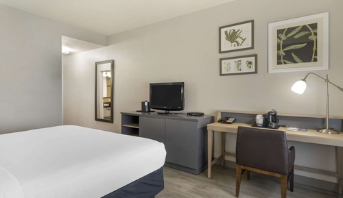 Room, 1 King Bed, Accessible, Non Smoking (Roll-in Shower)