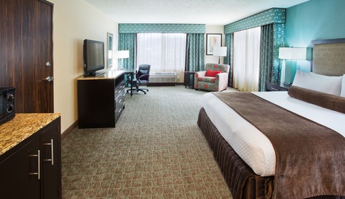 Standard Room, 1 King Bed, Accessible (Communications, Roll-In Shower)