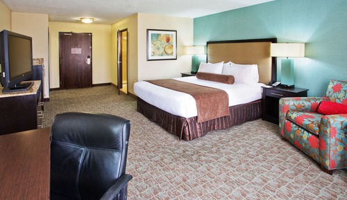 Standard Room, 1 King Bed