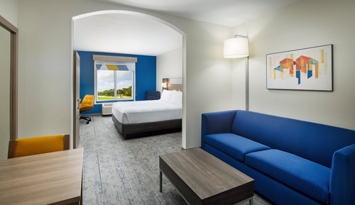Suite, 1 King Bed with Sofa bed