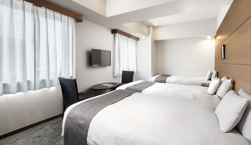 Deluxe Studio, 2 Twin Beds