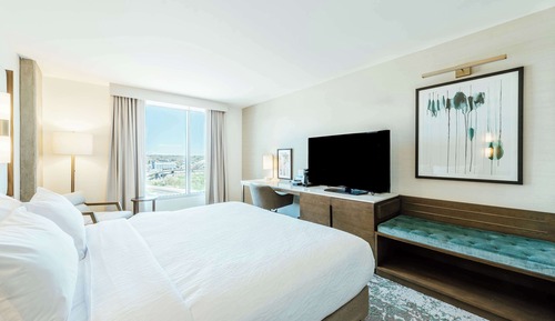 Room, 1 King Bed