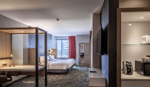 Suite, 1 King Bed with Sofa bed, Non Smoking (Mobility/Hearing Access, Roll-in Shwr)