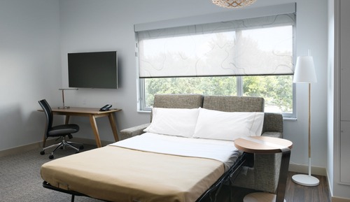 Studio, 1 King Bed with Sofa bed, Non Smoking (Mobility Accessible, Roll-in Shower)