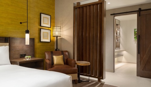Room, 1 King Bed