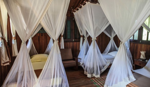 Family Bungalow, Multiple Beds, Non Smoking