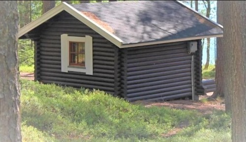 Economy Cabin