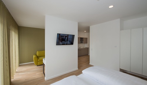 Luxury Apartment