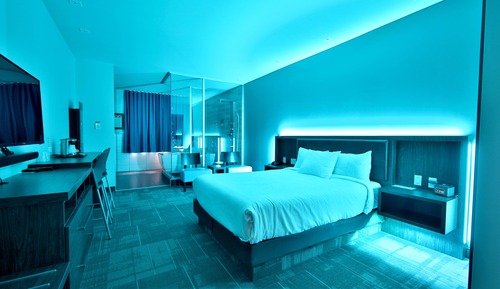 Suite, 1 Queen Bed