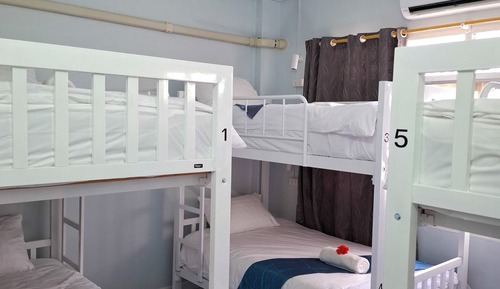 Standard Shared Dormitory