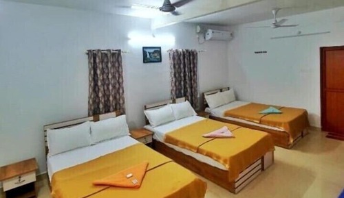 Classic Shared Dormitory