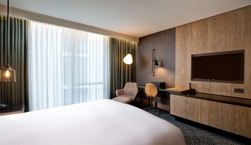 Basic Room, 1 King Bed
