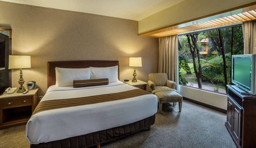 Room, 1 King Bed, Non Smoking, Club Lounge Access