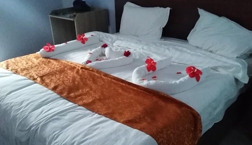 Standard Single Room, Pool View