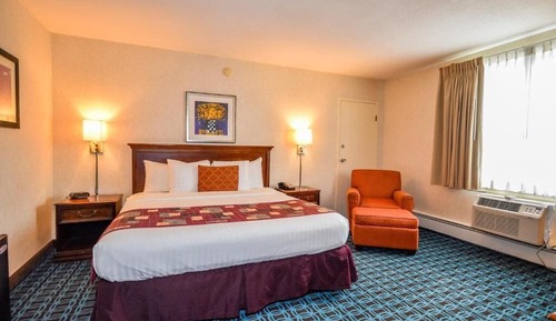 Single Room, 1 King Bed