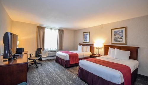 Single Room, 2 Queen Beds