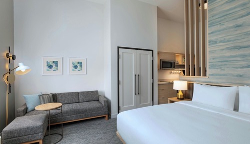 Studio, 1 King Bed with Sofa bed