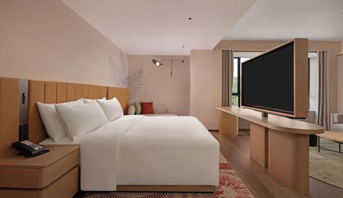 Deluxe Room, 1 King Bed with Sofa bed