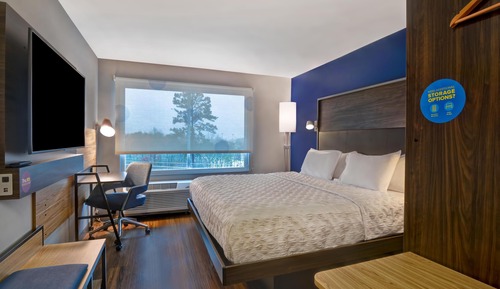 Room, 1 King Bed