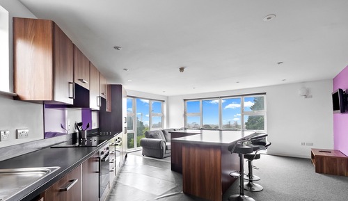 Apartment (Multiple Bedrooms)