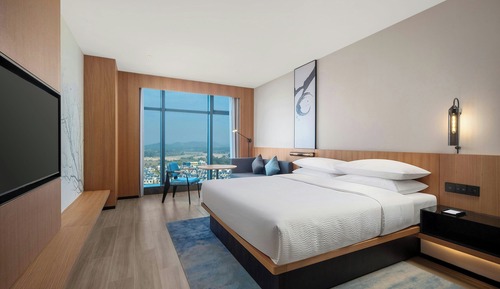 Superior Room, 1 King Bed, Non Smoking, City View