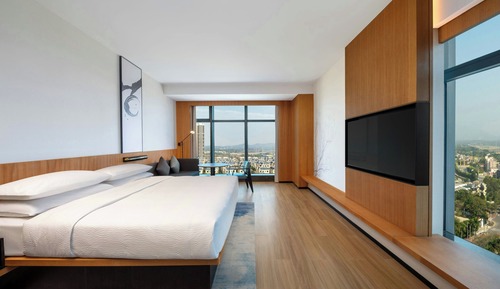 Business Room, 1 King Bed, Non Smoking (view)