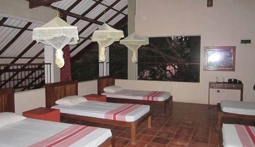 Shared Dormitory, Garden View
