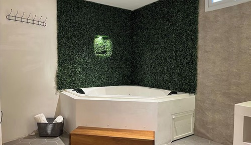 Luxury Suite, Private Bathroom