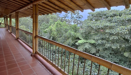 Family Room, Multiple Beds